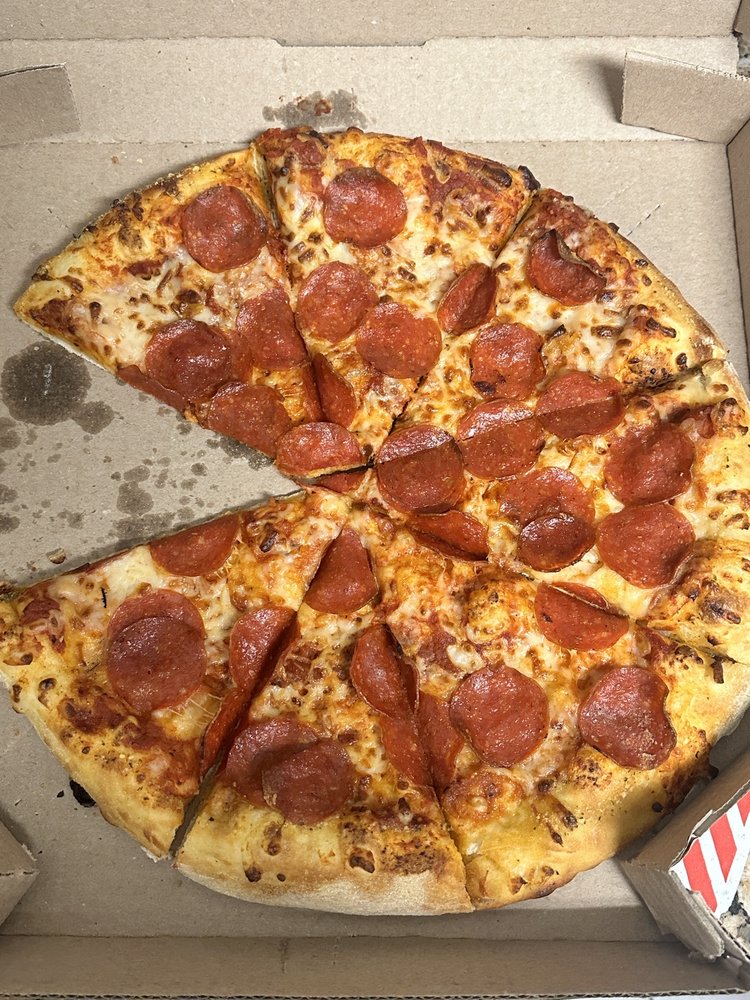 Domino's Pizza Logo