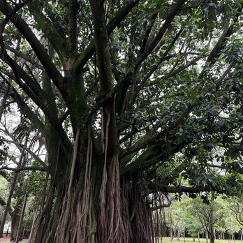 Parque do Ibirapuera - Landmarks & Historical Buildings Near Me - São Paulo, SP Parque do Ibirapuera - Landmarks & Historical Buildings Near Me - São Paulo, SP