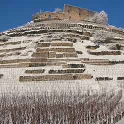 Staufener Burg - Auch der Winter steht unserem Schloßberg gut!