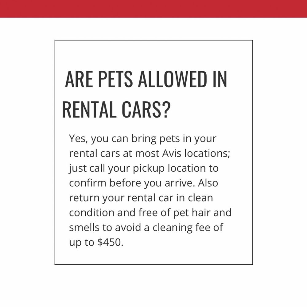 Avis pet policy