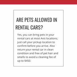 Budget - Avis pet policy