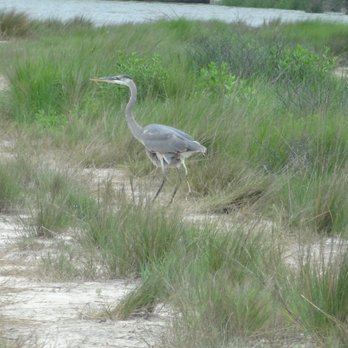 Big State RV Park - RV Parks Near Me - La Marque, Texas Big State RV Park - RV Parks Near Me - La Marque, Texas
