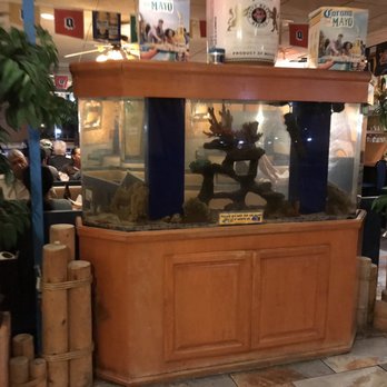 El Patio Mexican Restaurant - Mexican Near Me - Troy, Michigan