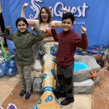 SeaQuest - Utah - Aquariums Near Me - Layton, Utah SeaQuest - Utah - Aquariums Near Me - Layton, Utah