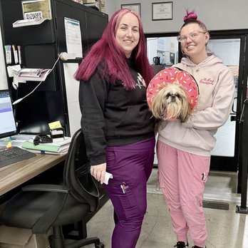 Operation Kindness - Sushi after surgery a little high and confused but loved. Thank you Operation Kindness!! - Animal Shelters Near Me - Carrollton, Texas Operation Kindness - Sushi after surgery a little high and confused but loved. Thank you Operation Kindness!! - Animal Shelters Near Me - Carrollton, Texas