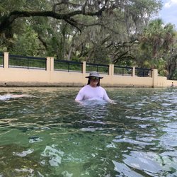 Salt Springs Recreation Area - Not to deep.