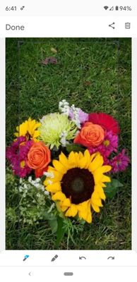 Raintree Flowers by null