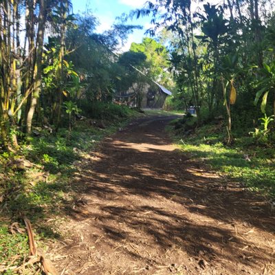 Kalani Oceanside Retreat Center by null