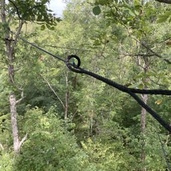 Thirty Pines Tree Care
