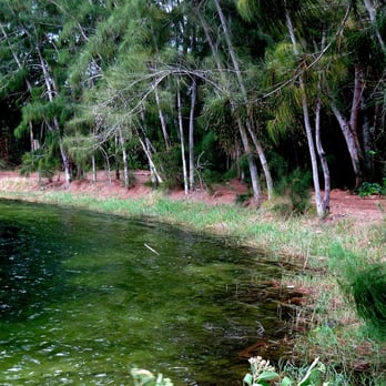 Silver Lakes Rotary Nature Park - The shallow end of the lake shore. - Parks Near Me - Davie, Florida Silver Lakes Rotary Nature Park - The shallow end of the lake shore. - Parks Near Me - Davie, Florida