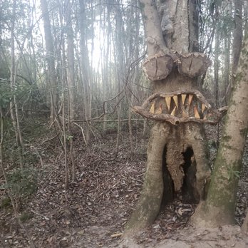 The Hideaway - Tree art found at the campground. - Campgrounds Near Me - Collins, Georgia