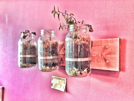 Stanza Coffee Bar by null