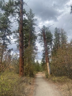 Kalamalka Lake Provincial Park by null