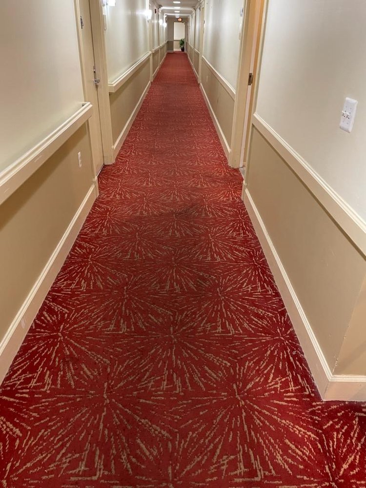 STEAM TEAM CARPET CLEANING Updated July 2024 Request a Quote