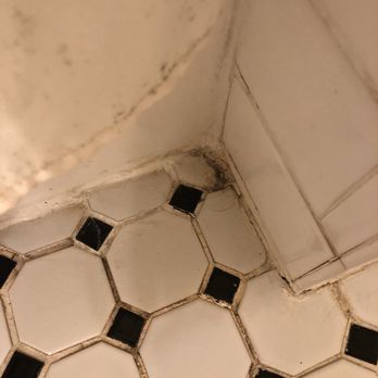 Chatham Bars Inn - This is the tile in the bathroom - Hotels Near Me - Chatham, Massachusetts Chatham Bars Inn - This is the tile in the bathroom - Hotels Near Me - Chatham, Massachusetts