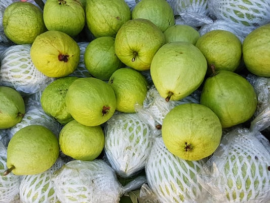 Anping Old Street by null