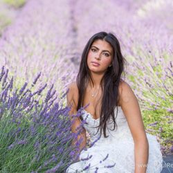 Paul Retherford Photography - Senior photographer paul retherford photography northern michigan photo