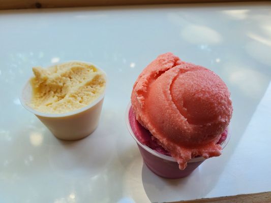 Mr P's Homemade Ice Cream by null