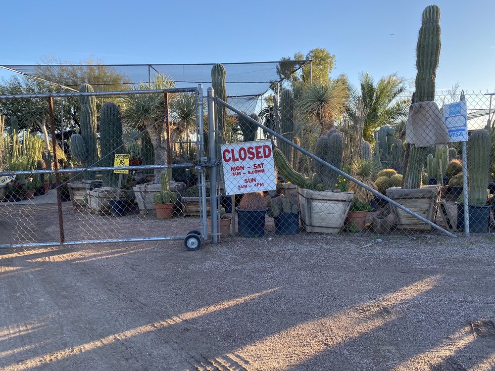 P & M NURSERY & CITRUS Updated September 2024 60 Photos & 17