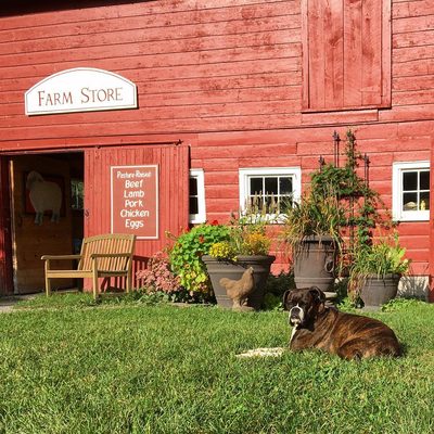 Kinderhook Farm by null