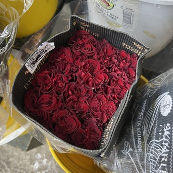 Carlstedt Oscar G - Carnations - Florists Near Me - Tampa, Florida