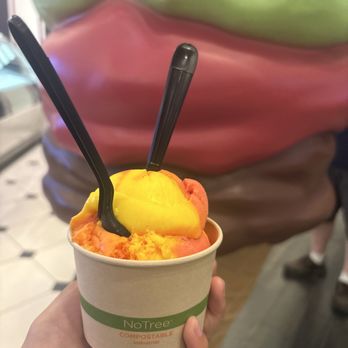 Scoops - Ice Cream & Frozen Yogurt Near Me - Rohnert Park, California Scoops - Ice Cream & Frozen Yogurt Near Me - Rohnert Park, California