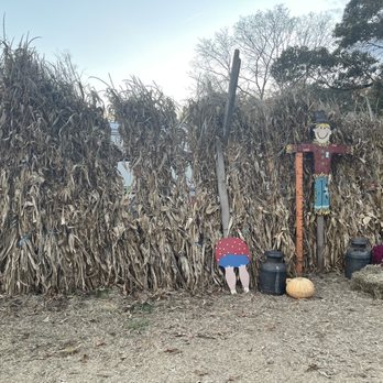 Hawk's Pumpkin Patch - Pumpkin Patches Near Me - Winston-Salem, North Carolina