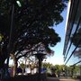 Photo of Cafe des Arts