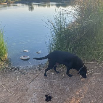 Riparian Preserve at Water Ranch - Parks Near Me - Gilbert, Arizona