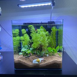 Pascal's playpen!