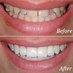 McDonald William J Dentist