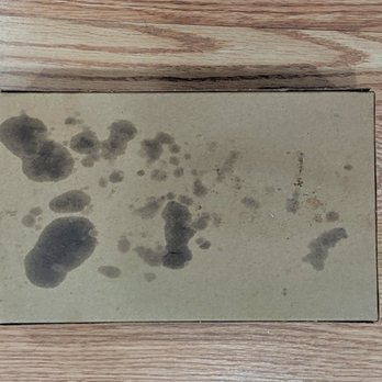 Tous Les Jours - very greasy, soaked through waxpaper and bottom of box in 15 minutes - Bakeries Near Me - Fremont, California Tous Les Jours - very greasy, soaked through waxpaper and bottom of box in 15 minutes - Bakeries Near Me - Fremont, California