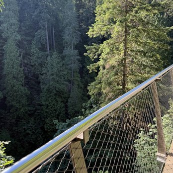 Capilano Suspension Bridge Park - Parks Near Me - North Vancouver, British Columbia