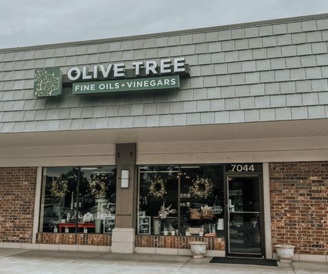 Olive Tree by null