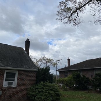W&N Tree Service - After - Tree Services Near Me - Pottstown, Pennsylvania W&N Tree Service - After - Tree Services Near Me - Pottstown, Pennsylvania