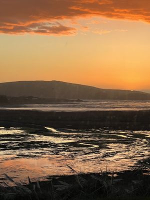 The Lodge at Bodega Bay by null