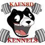 Photo of Kaffeinated Kennels- Fitness & Health