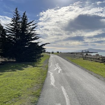 Miller Knox Regional Park - A beautiful outdoor space - Parks Near Me - Richmond, California Miller Knox Regional Park - A beautiful outdoor space - Parks Near Me - Richmond, California