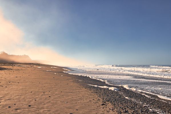 Gold Bluffs Beach Campground by null