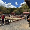 Burt's Pumpkin Farm gift card