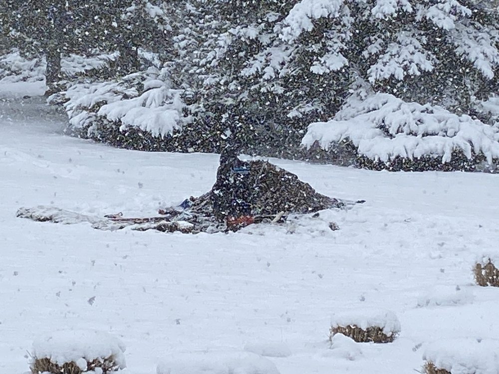 Slide of Renew Plumbing Services