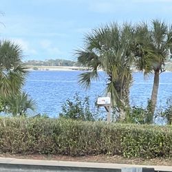 Palm Shores Bistro - River view