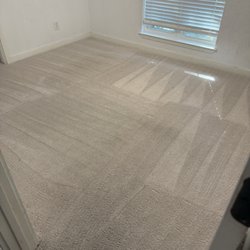 Steam Goonz Carpet Cleaning