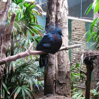 Zoo de Barcelona - Zoos Near Me - Barcelona, B Zoo de Barcelona - Zoos Near Me - Barcelona, B
