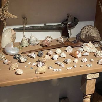 Museum Het Rembrandthuis - Rembrandt clearly adored seashells and his collection was extensive. - Museums Near Me - Amsterdam, New Hampshire Museum Het Rembrandthuis - Rembrandt clearly adored seashells and his collection was extensive. - Museums Near Me - Amsterdam, New Hampshire
