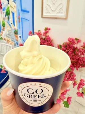 Go Greek Yogurt by null