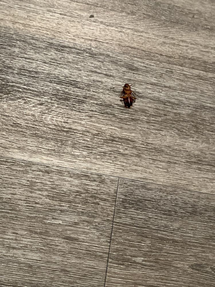 THE LANDINGS AT NORTHGATE APARTMENTS Apartments in Irving, Texas at