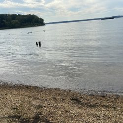 Mallows Bay Park - Shoreline