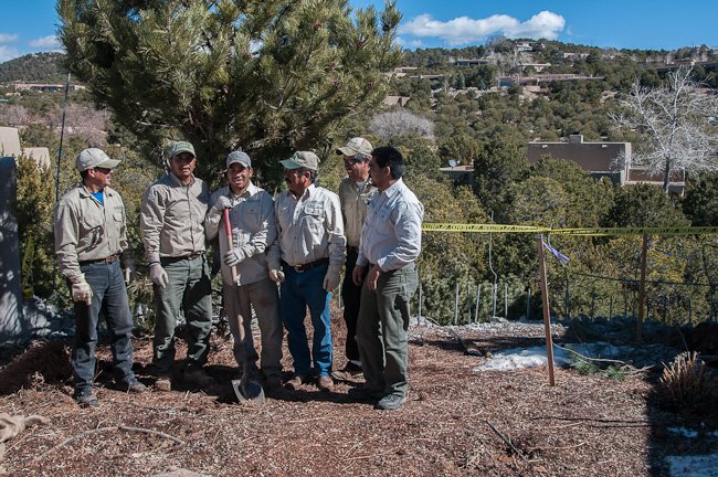 Francos Trees & Landscaping - tree service in Santa Fe, NM