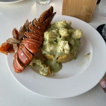 Sonido del Mar - Lobster mofonguo (spelling??) sorry - Seafood Near Me - Isabela, Puerto Rico